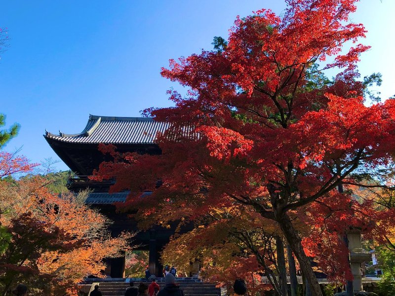 南禅寺・三門と紅葉　見頃　2019年11月19日　撮影：MKタクシー