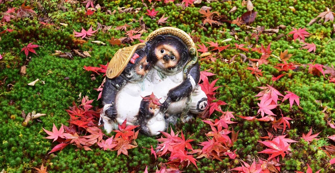 南禅寺・最勝院の散紅葉 2019年11月30日 撮影:MKタクシー