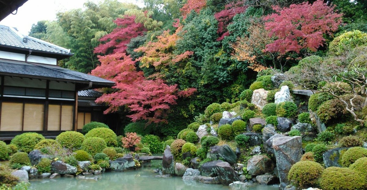 智積院・名勝庭園の紅葉　見頃　2014年11月25日　撮影：MKタクシー