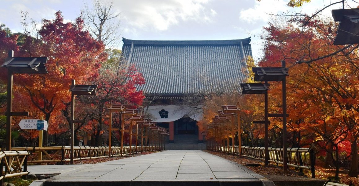 智積院の紅葉 散りはじめ 2019年12月4日 撮影:MKタクシー