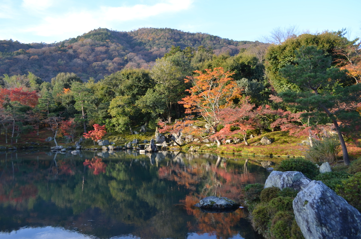 天龍寺・曹源池庭園の紅葉 見頃 2017年11月25日 撮影:MKタクシー