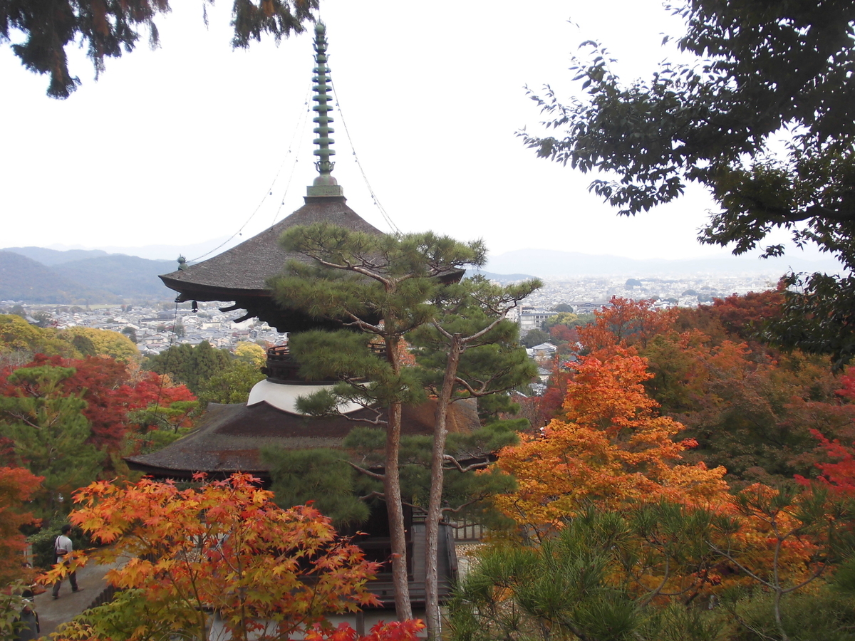 常寂光寺・多宝塔と紅葉　見頃　2016年11月13日　撮影：MKタクシー