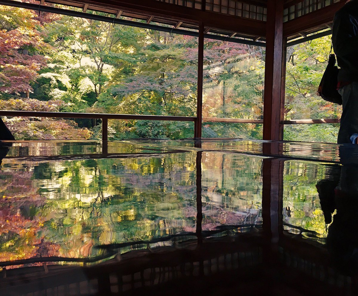 瑠璃光院・書院二階の紅葉 見頃近し 2016年11月13日 撮影:MKタクシー