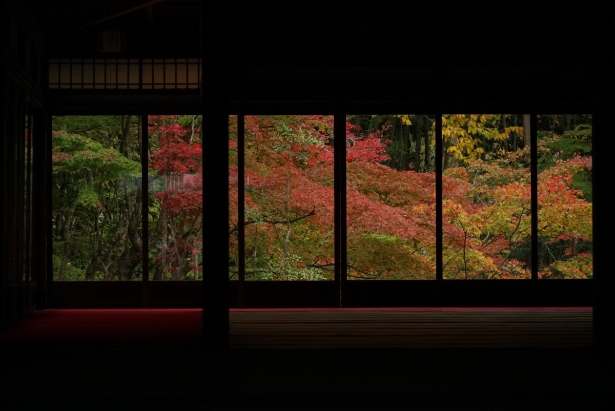 天授庵・書院南庭の紅葉 見頃 2018年11月14日 撮影:MKタクシー