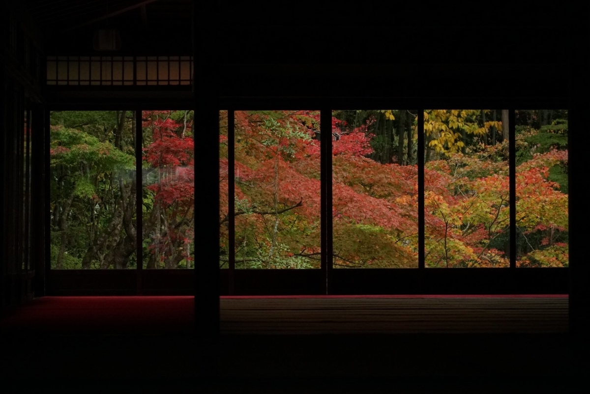 天授庵・書院南庭の紅葉　見頃　2018年11月14日　撮影：MKタクシー