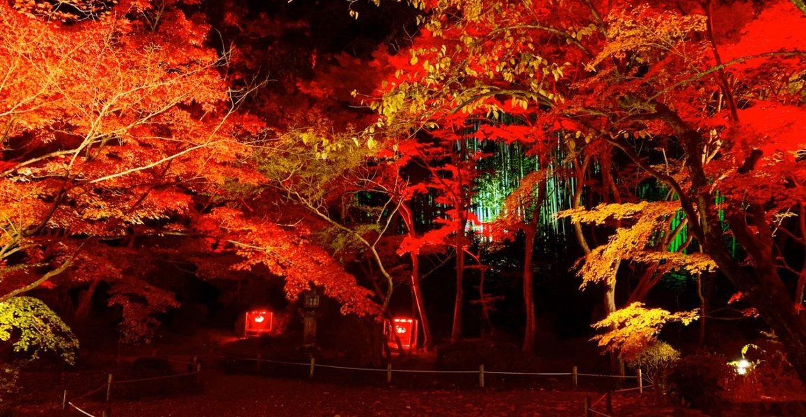 石山寺の紅葉ライトアップ 2019年11月19日 撮影:MKタクシー