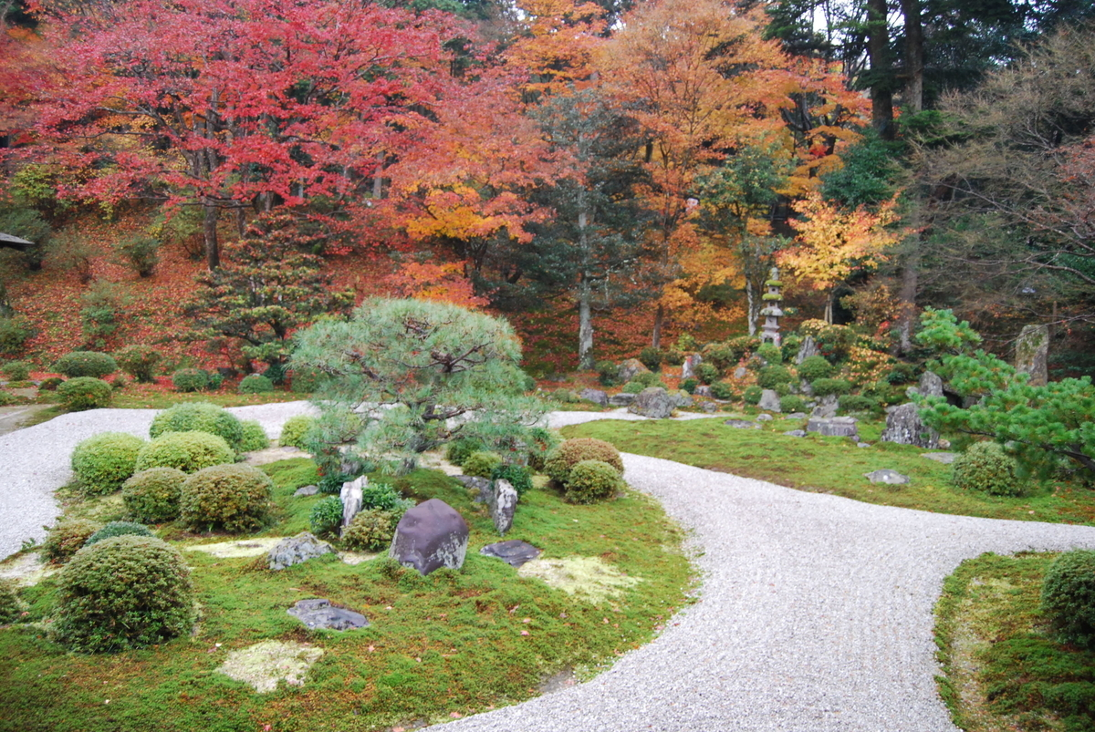 曼殊院・枯山水庭園の紅葉 2011年12月8日 撮影:MKタクシー