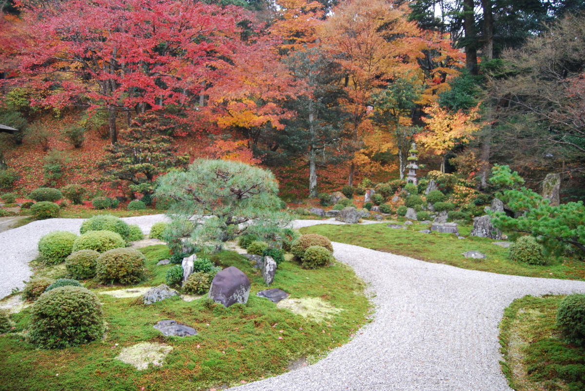 曼殊院・枯山水庭園の紅葉　2011年12月8日　撮影：MKタクシー