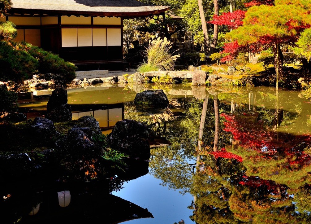 銀閣寺の紅葉 見頃 2020年11月14日 撮影:MKタクシー