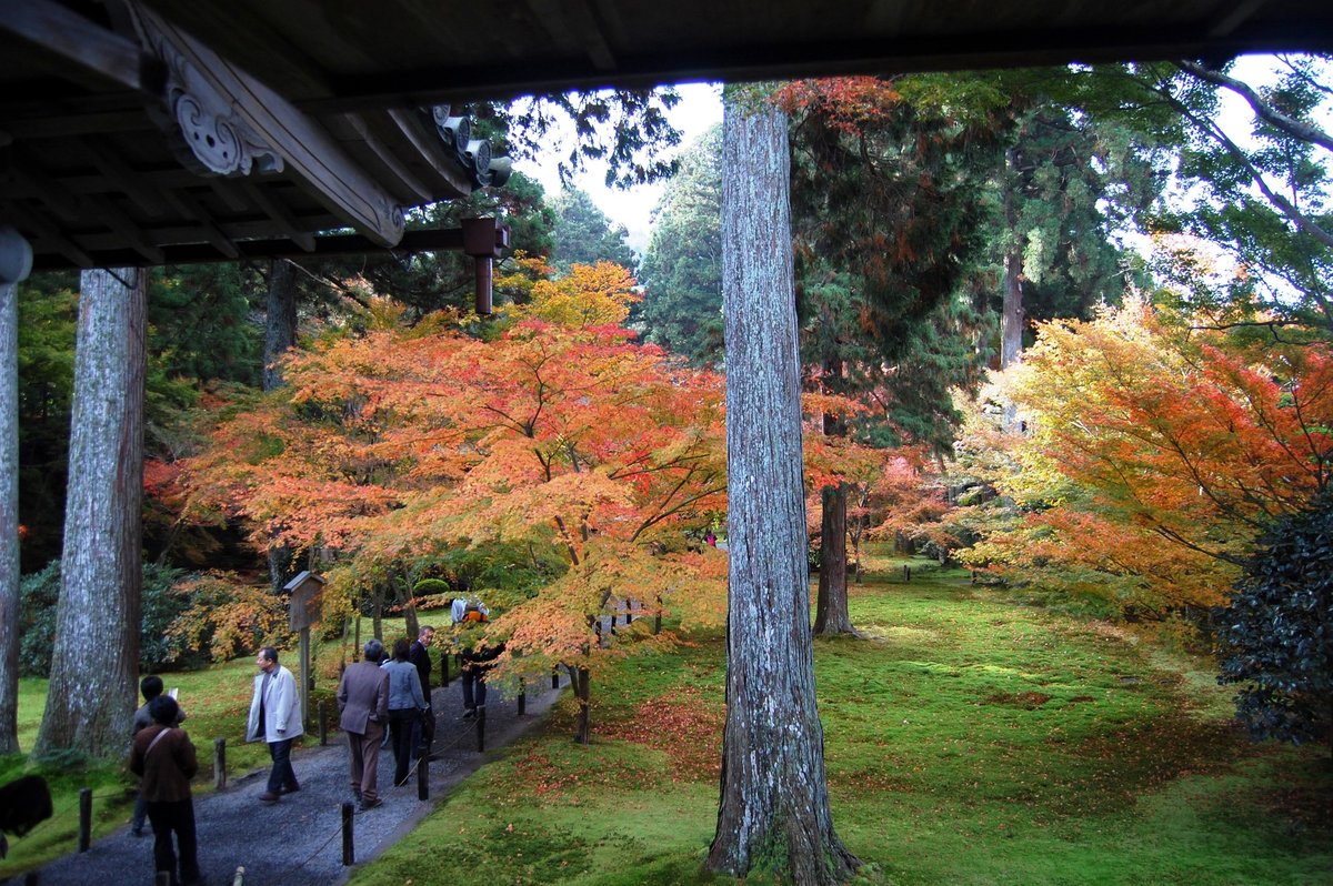 三千院・有清園の紅葉　見頃　2007年11月18日　撮影：MKタクシー