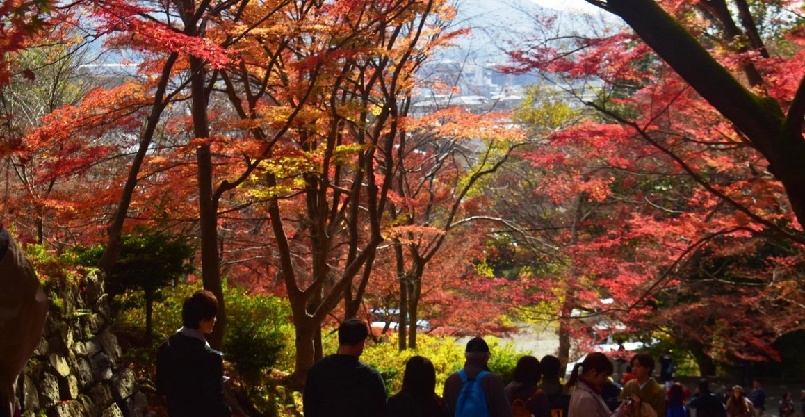 毘沙門堂の紅葉 見頃 2019年11月30日 撮影:MKタクシー