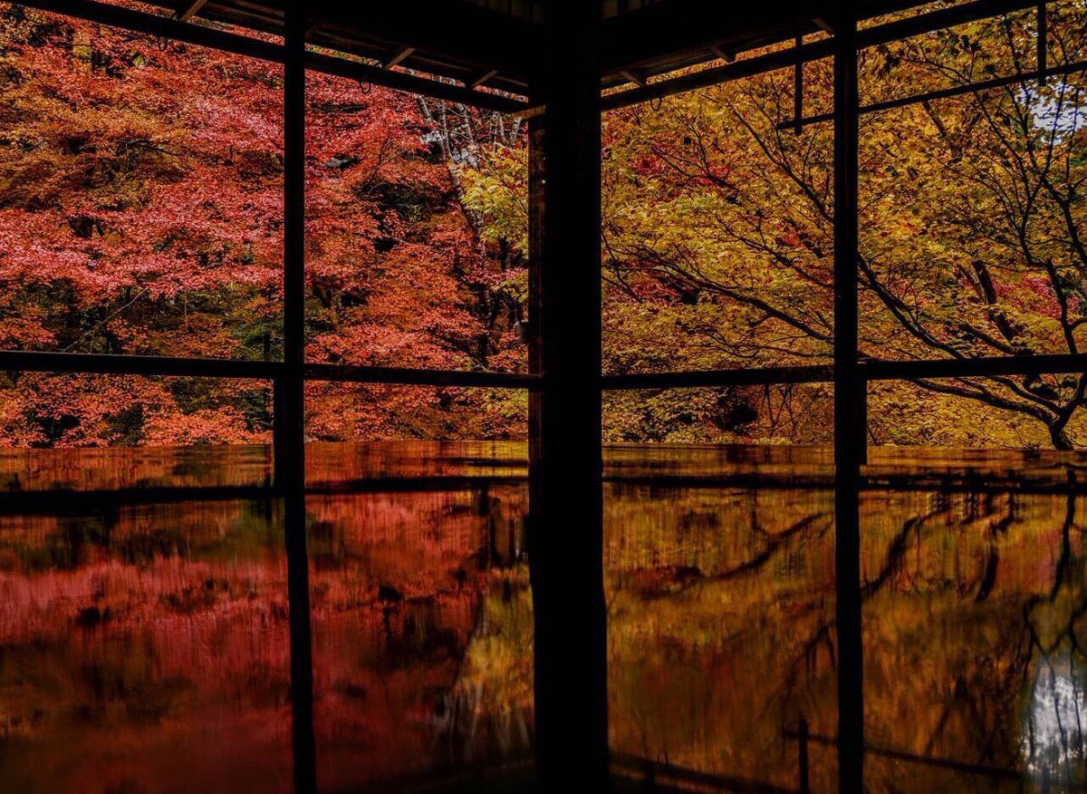 青龍殿の紅葉 見頃 2017年11月20日 撮影:MKタクシー