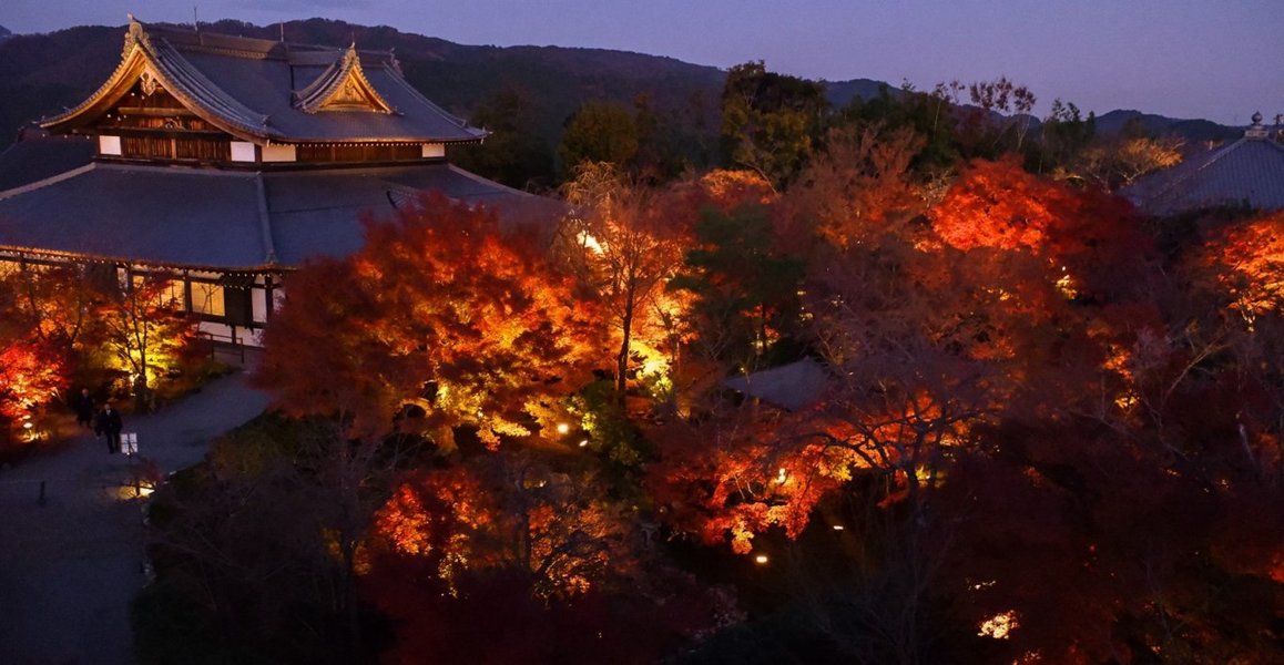 青龍殿の紅葉ライトアップ 見頃 2019年12月1日 撮影:MKタクシー
