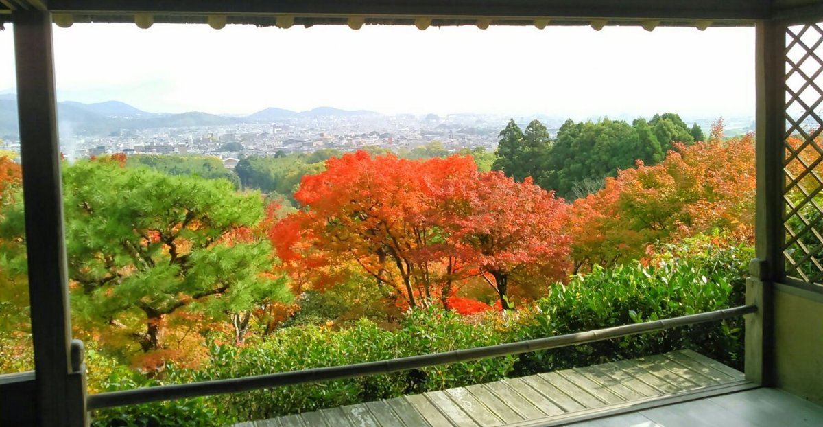 大河内山荘・展望台の紅葉 見頃 2014年11月8日 撮影:MKタクシー