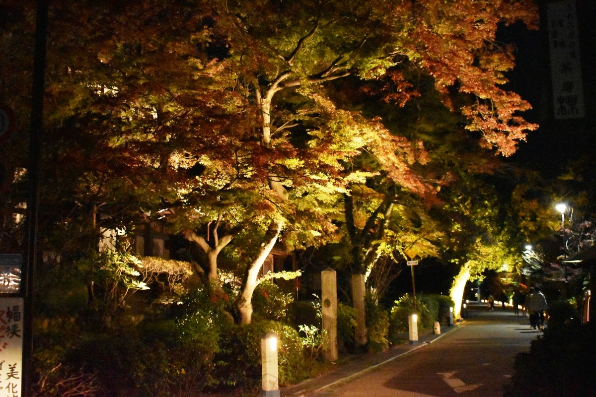 茶業会館前・宇治灯りのみち 紅葉ライトアップ 見頃近し 2020年11月22日 撮影:MKタクシー