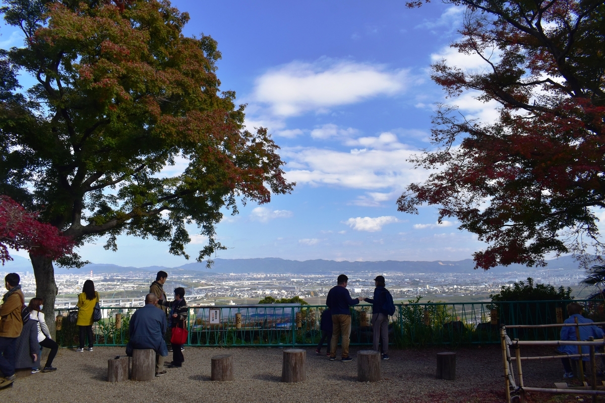 石清水八幡宮・展望台の紅葉 見頃 2020年11月22日 撮影:MKタクシー