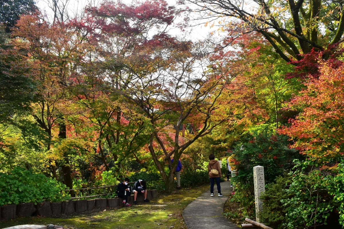 神応寺の紅葉 見頃 2020年11月22日 撮影:MKタクシー