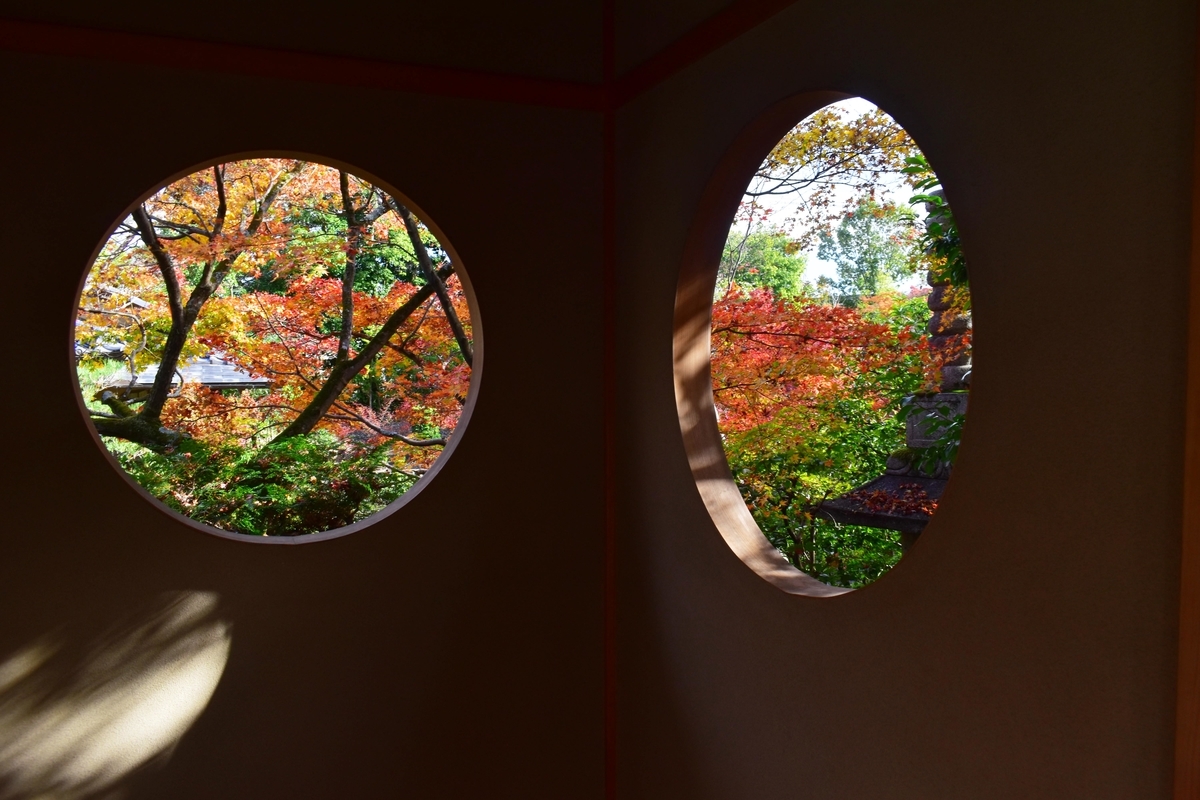 善法律寺・客殿の「もみじの円窓」 見頃 2020年11月22日 撮影:MKタクシー