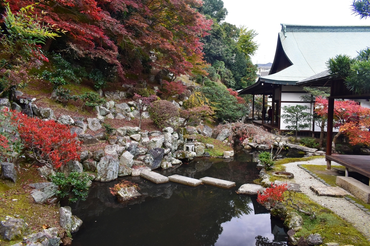 正法寺・書院庭園の紅葉　散りはじめ　2020年11月22日　撮影：MKタクシー