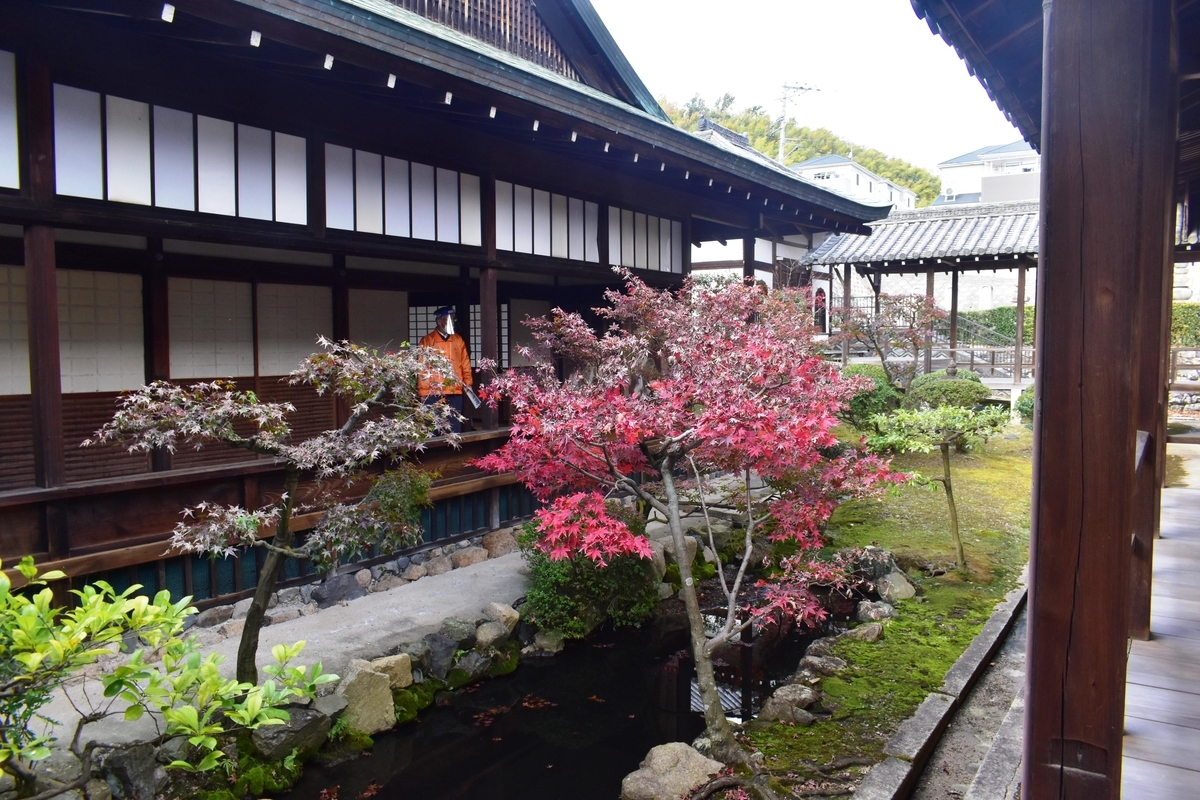 正法寺・書院庭園の紅葉 散りはじめ 2020年11月22日 撮影:MKタクシー