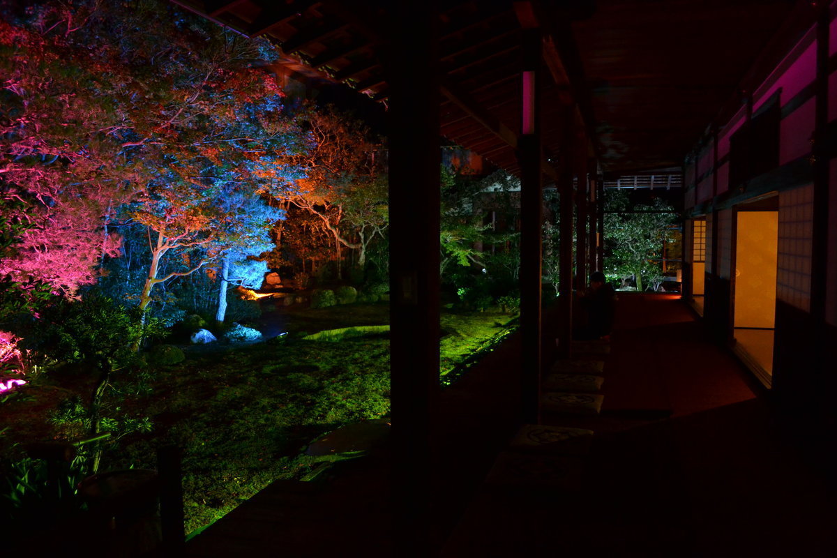 本法寺・巴の庭の紅葉ライトアップ 見頃 2017年11月11日 撮影:MKタクシー