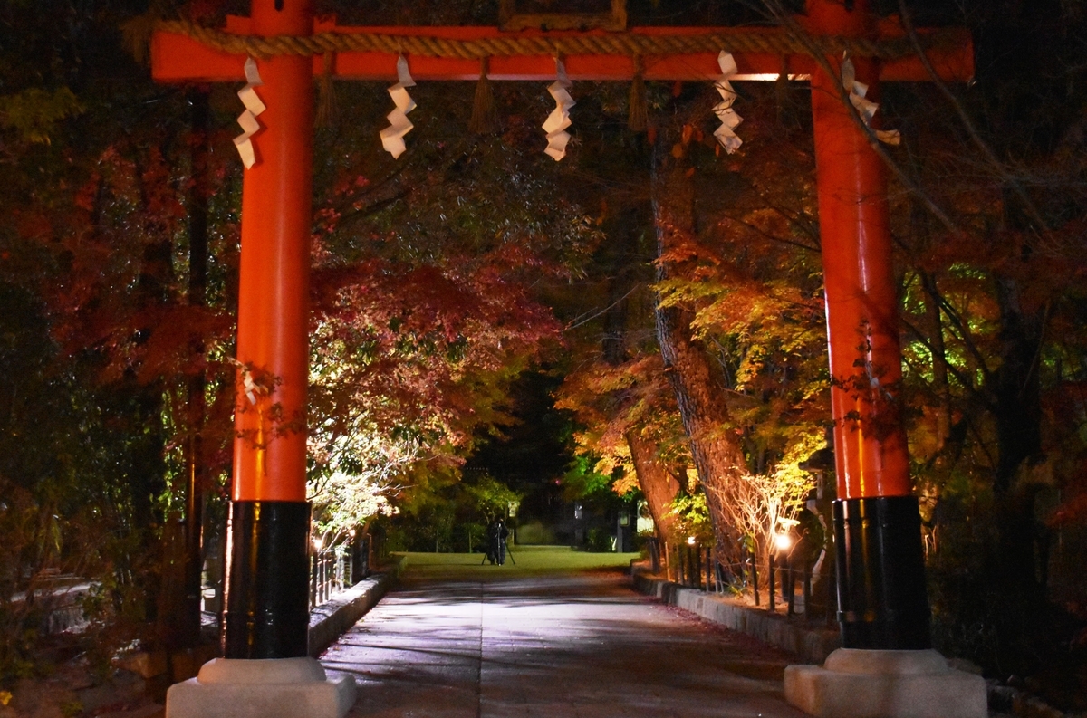 宇治上神社・宇治灯りのみち　紅葉ライトアップ　見頃　2020年11月28日　撮影：MKタクシー