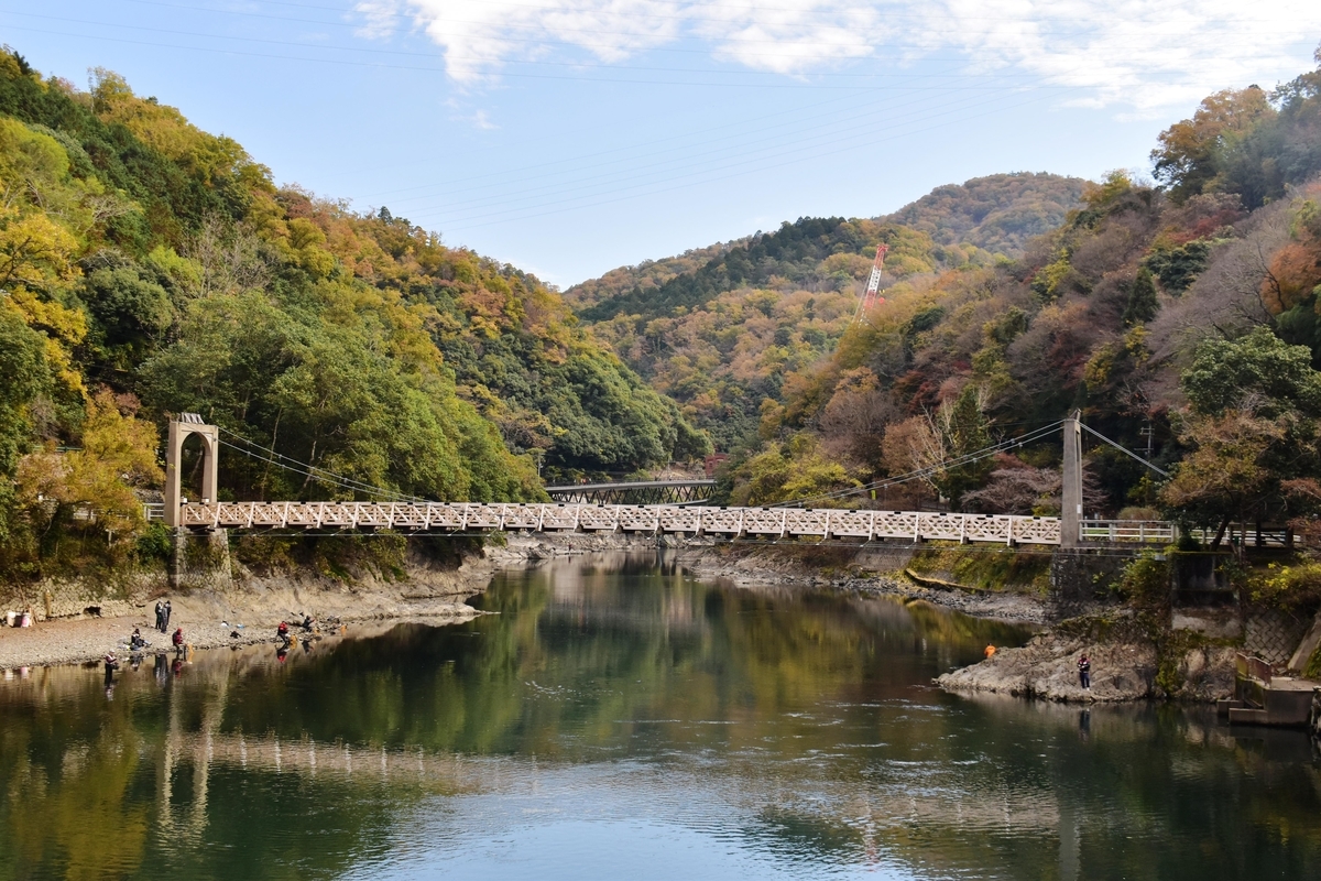 天ヶ瀬つり橋の紅葉　見頃　2020年11月29日　撮影：MKタクシー