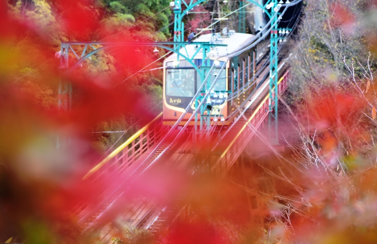 石清水八幡宮参道ケーブル・神応寺奥からの紅葉と「あかね」 見頃 2020年11月29日 撮影:MKタクシー