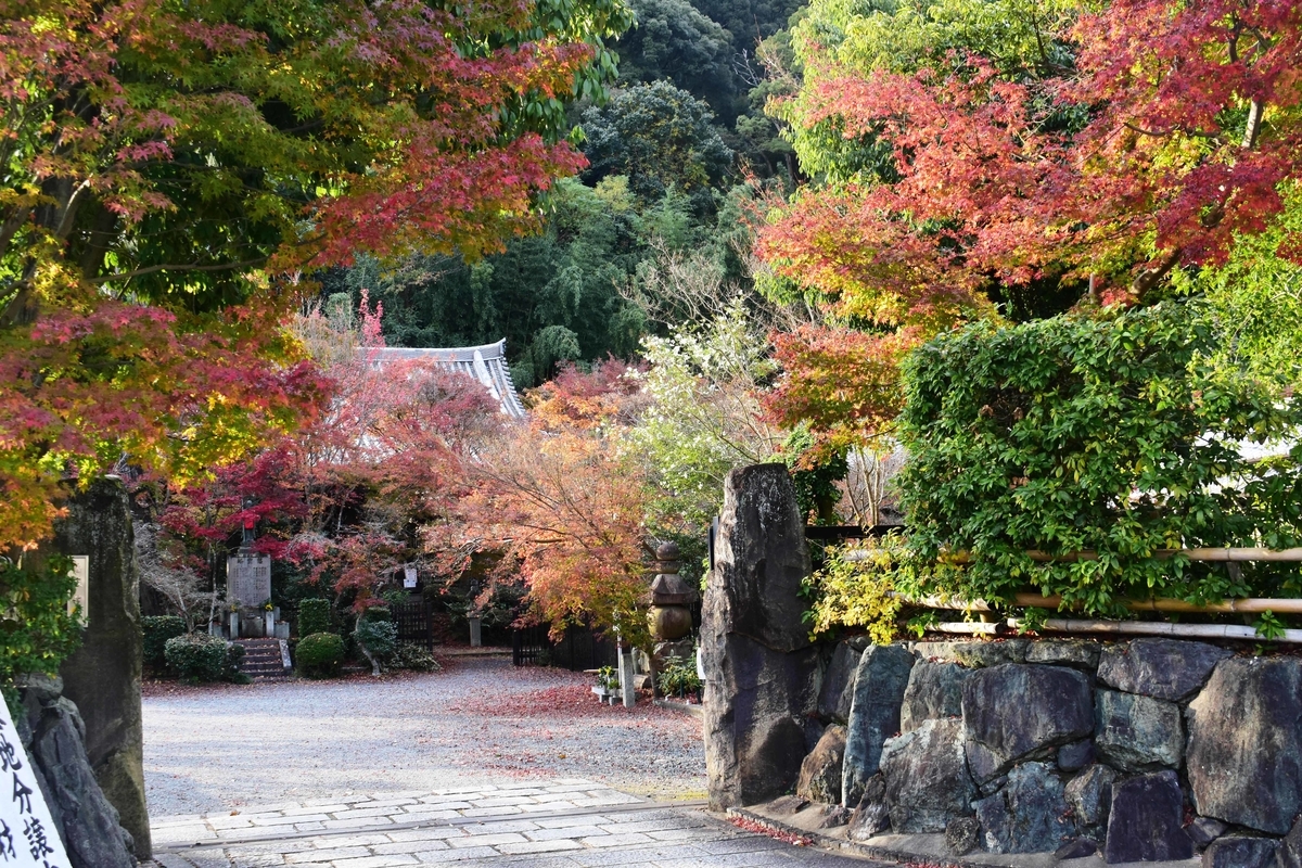 善法律寺の紅葉 散りはじめ 2020年11月29日 撮影:MKタクシー