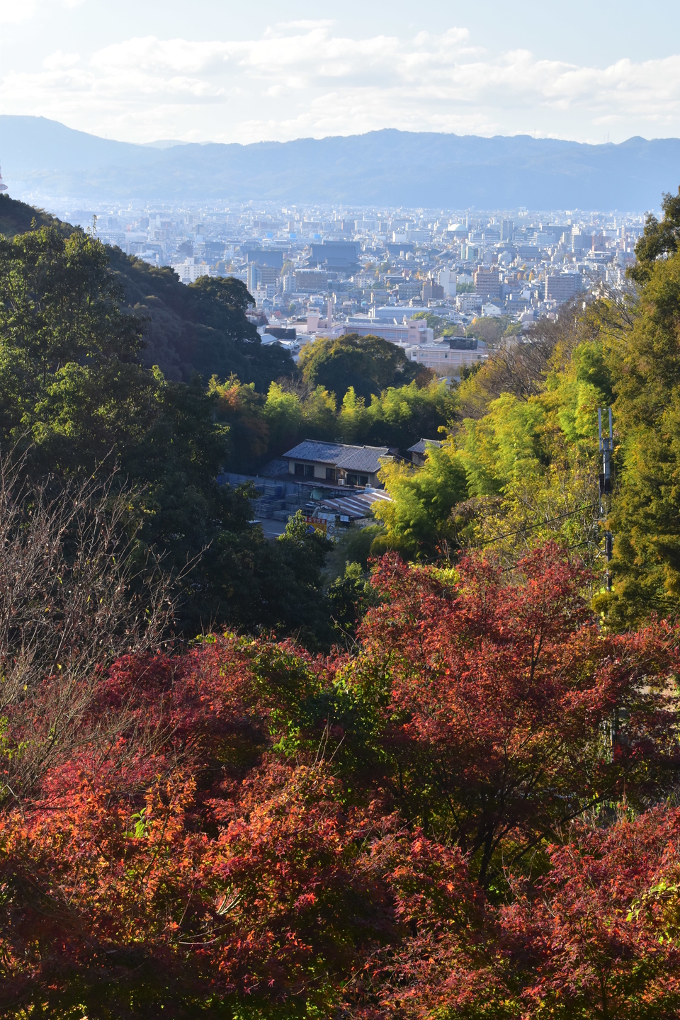 要石からの眺望と紅葉 見頃 2020年12月2日 撮影:MKタクシー