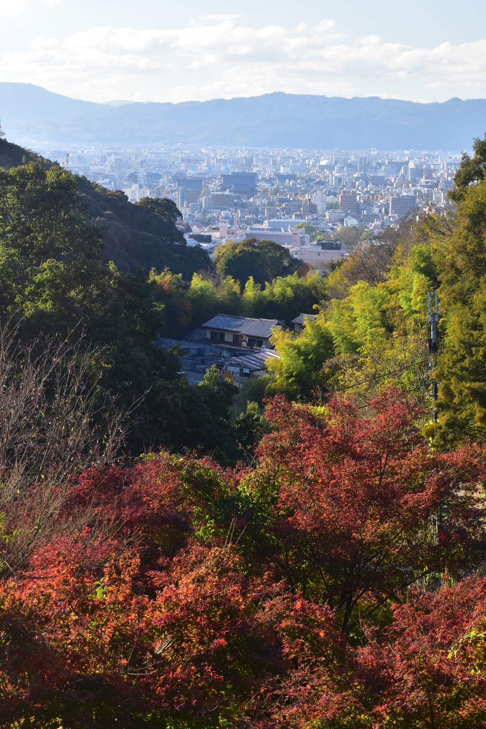 要石からの眺望と紅葉　見頃　2020年12月2日　撮影：MKタクシー