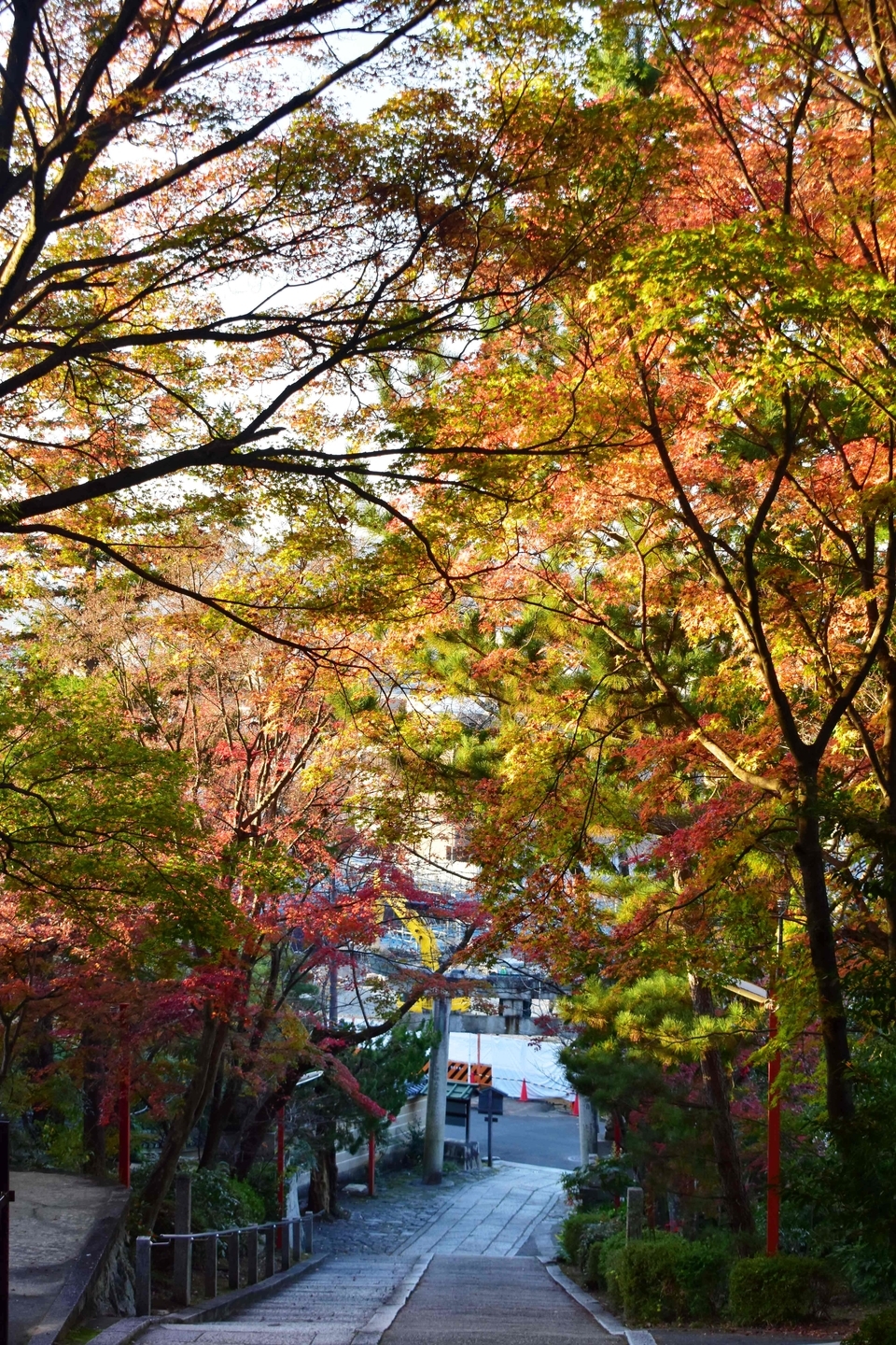 粟田神社・参道の紅葉 見頃 2020年12月2日 撮影:MKタクシー