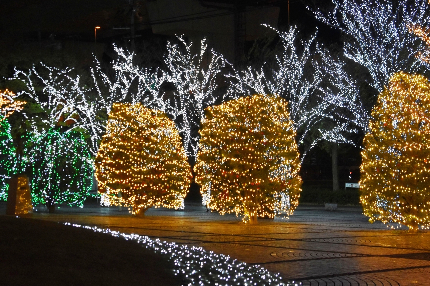京セラ本社イルミネーション2020 2020年12月3日 撮影:MKタクシー