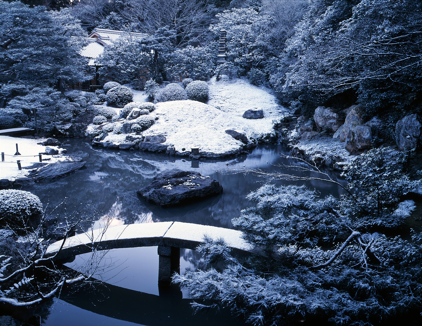 青蓮院 龍心池