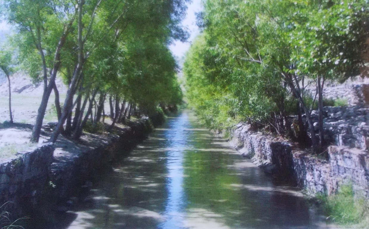 用水路通水5年後