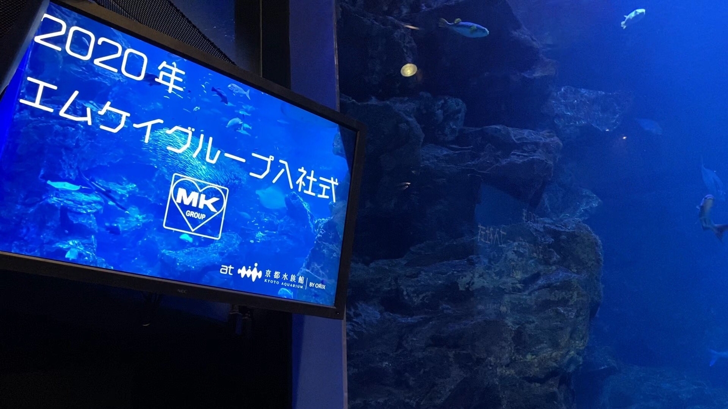 京都水族館でmkグループ年度入社式 変化を恐れず 新しい風を巻き起こして Mkメディア