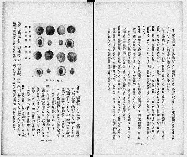 1939年奈良県月瀬青年学校「梅の栽培と加工」 出展:国立国会デジタル図書館