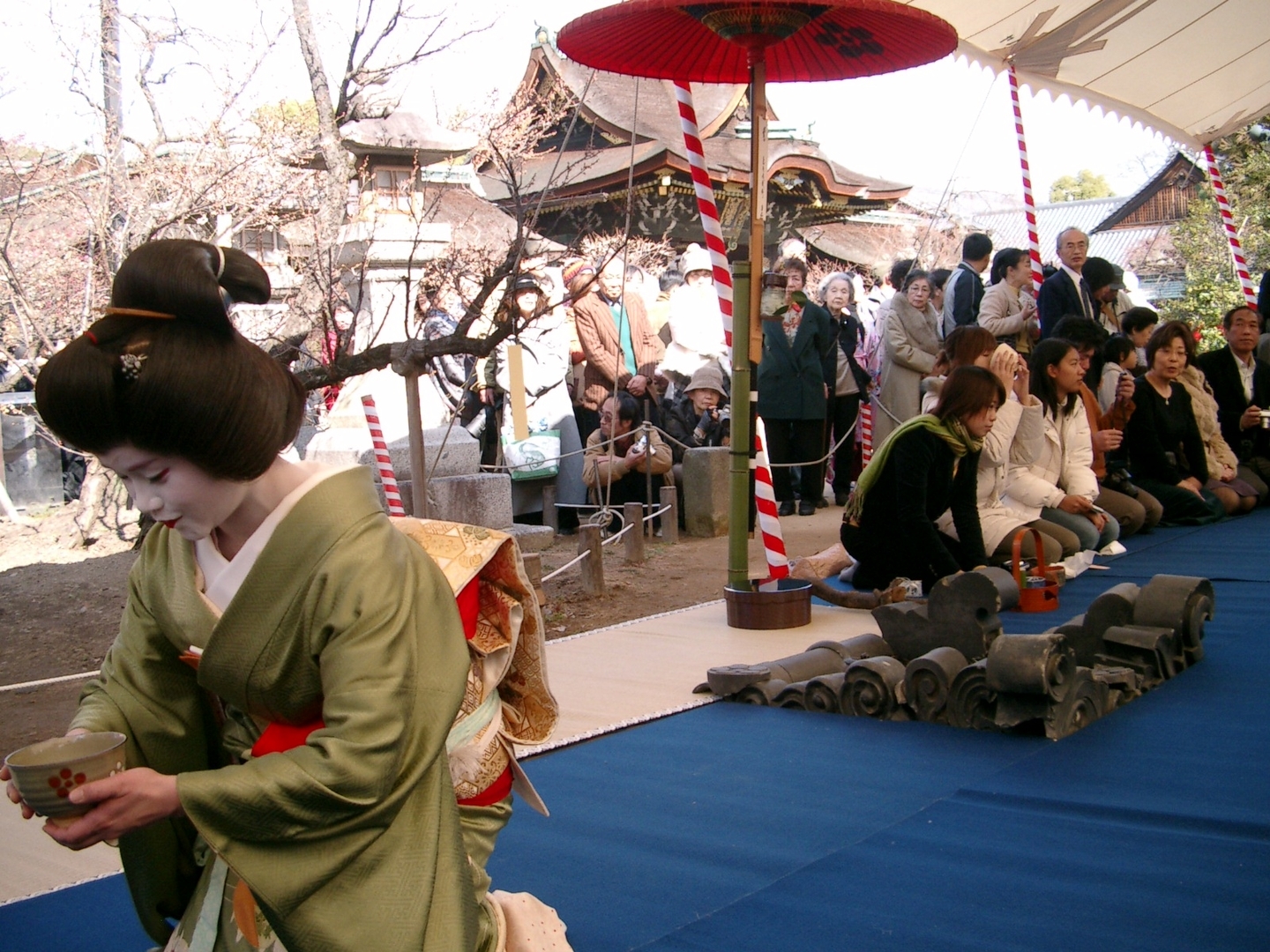 梅花祭の野点大茶湯 2006年2月25日 撮影:MKタクシー