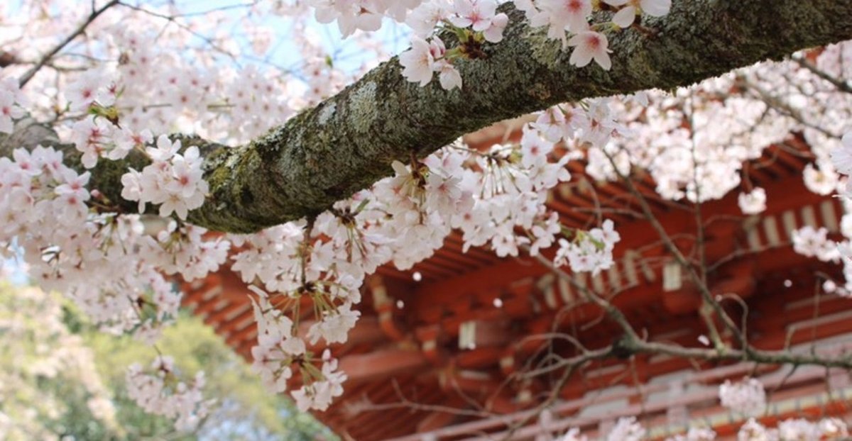 醍醐寺