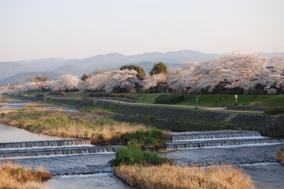 賀茂川