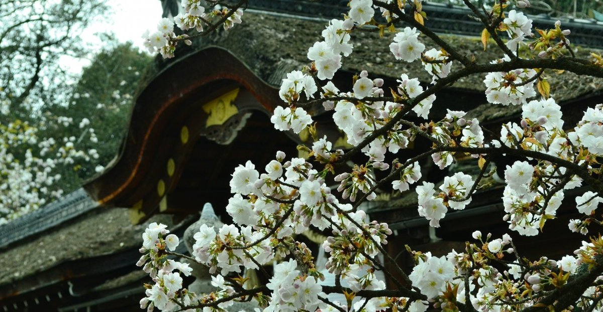 平野神社