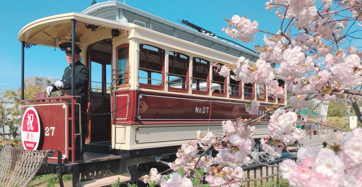 桜とチンチン電車 見頃 2019年4月13日(平年4月12日相当) 撮影:MKタクシー