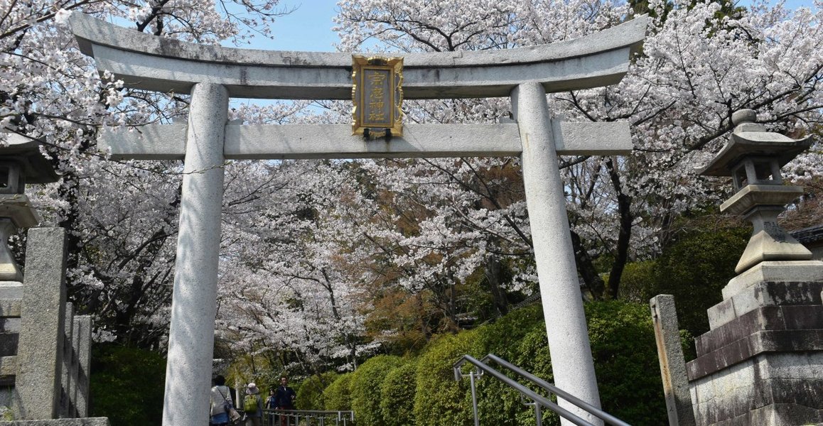 ソメイヨシノ 見頃 2019年4月7日(平年4月7日相当) 撮影:MKタクシー