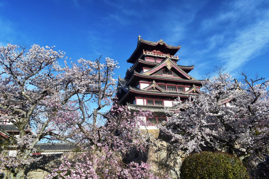 ソメイヨシノ 見頃 2019年4月9日(平年4月9日相当) 撮影:MKタクシー