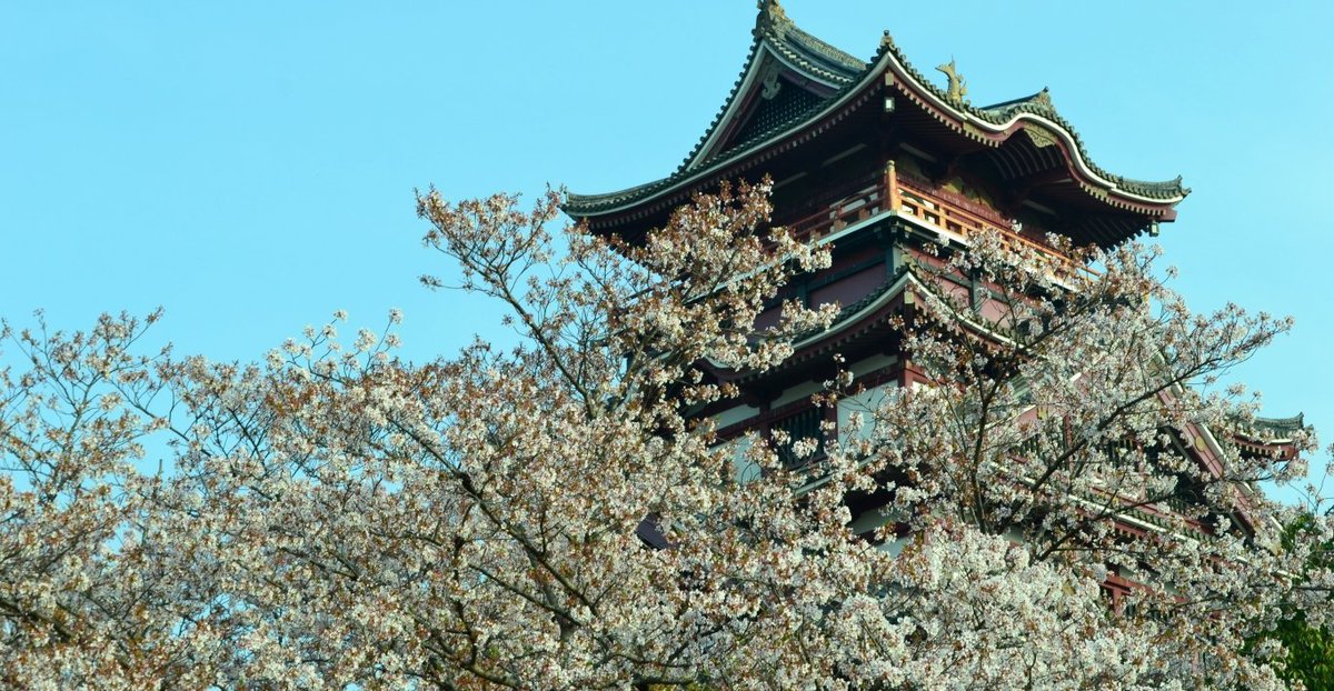 ソメイヨシノ 見頃過ぎ 2019年4月3日(平年4月12日相当) 撮影:MKタクシー