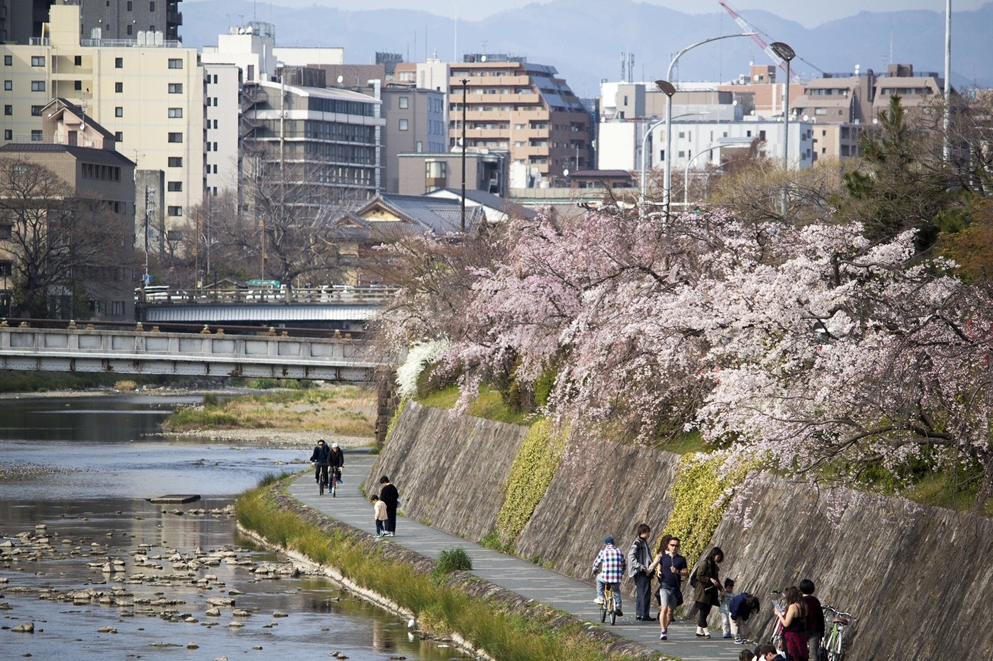 鴨川