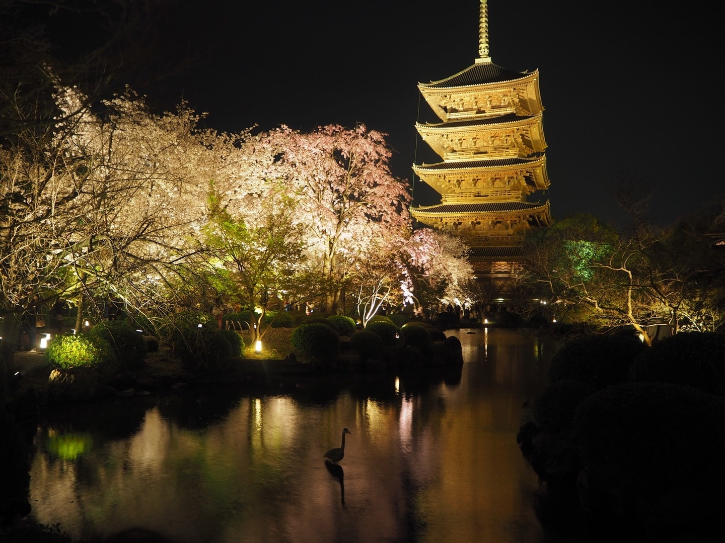 東寺