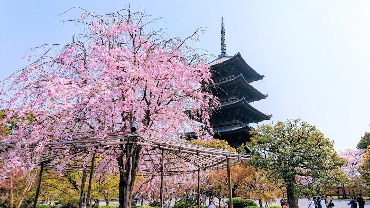 東寺