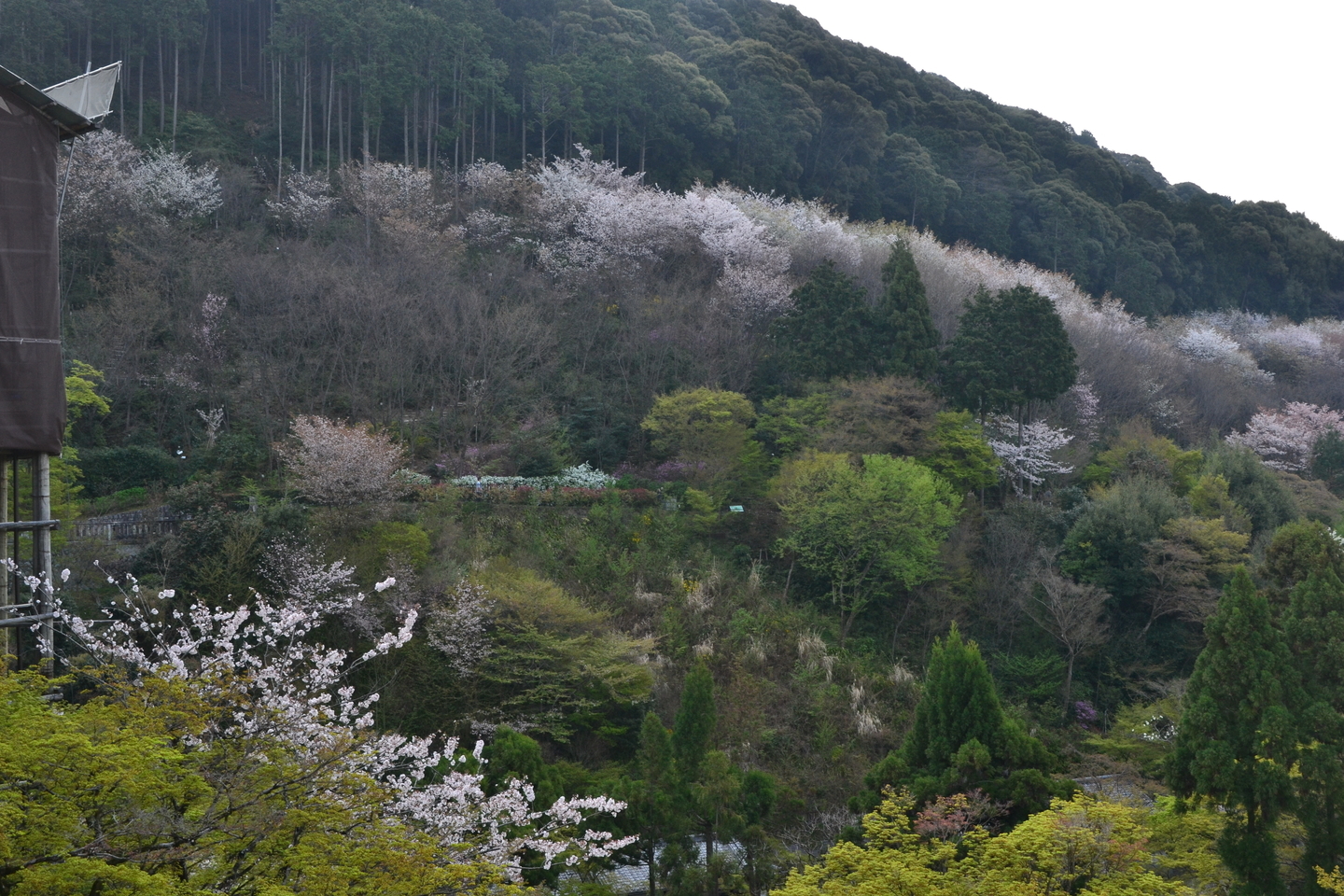 清水寺