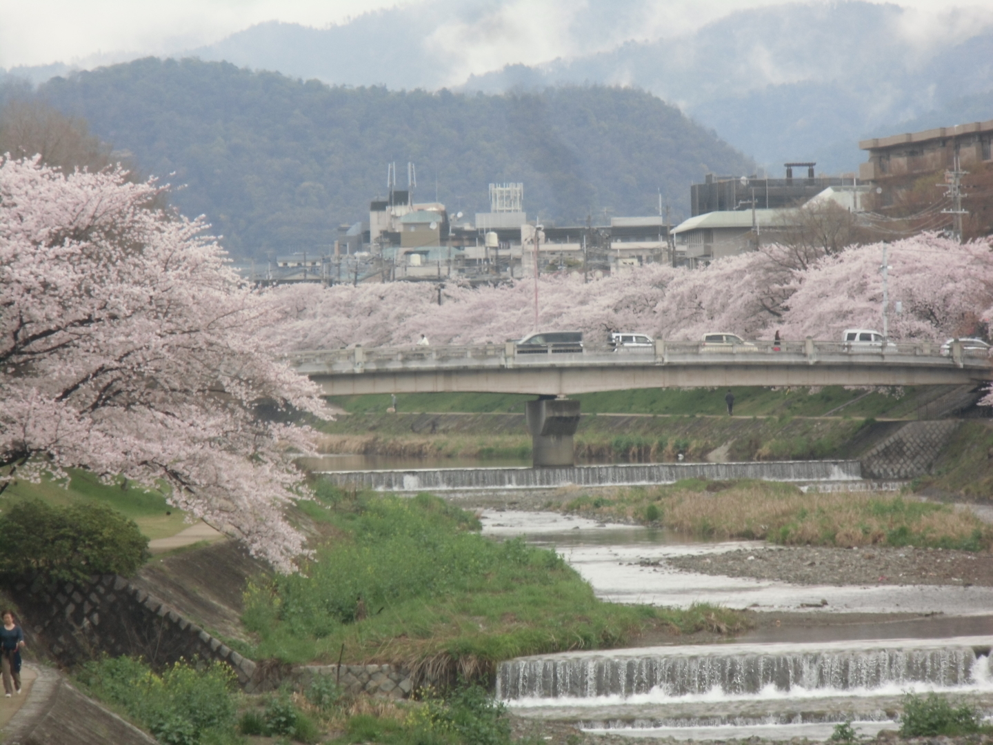 高瀬川